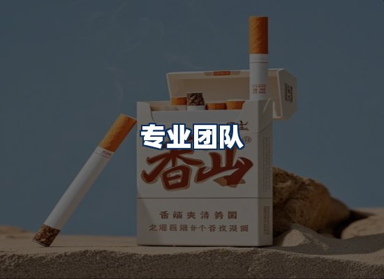 专业团队